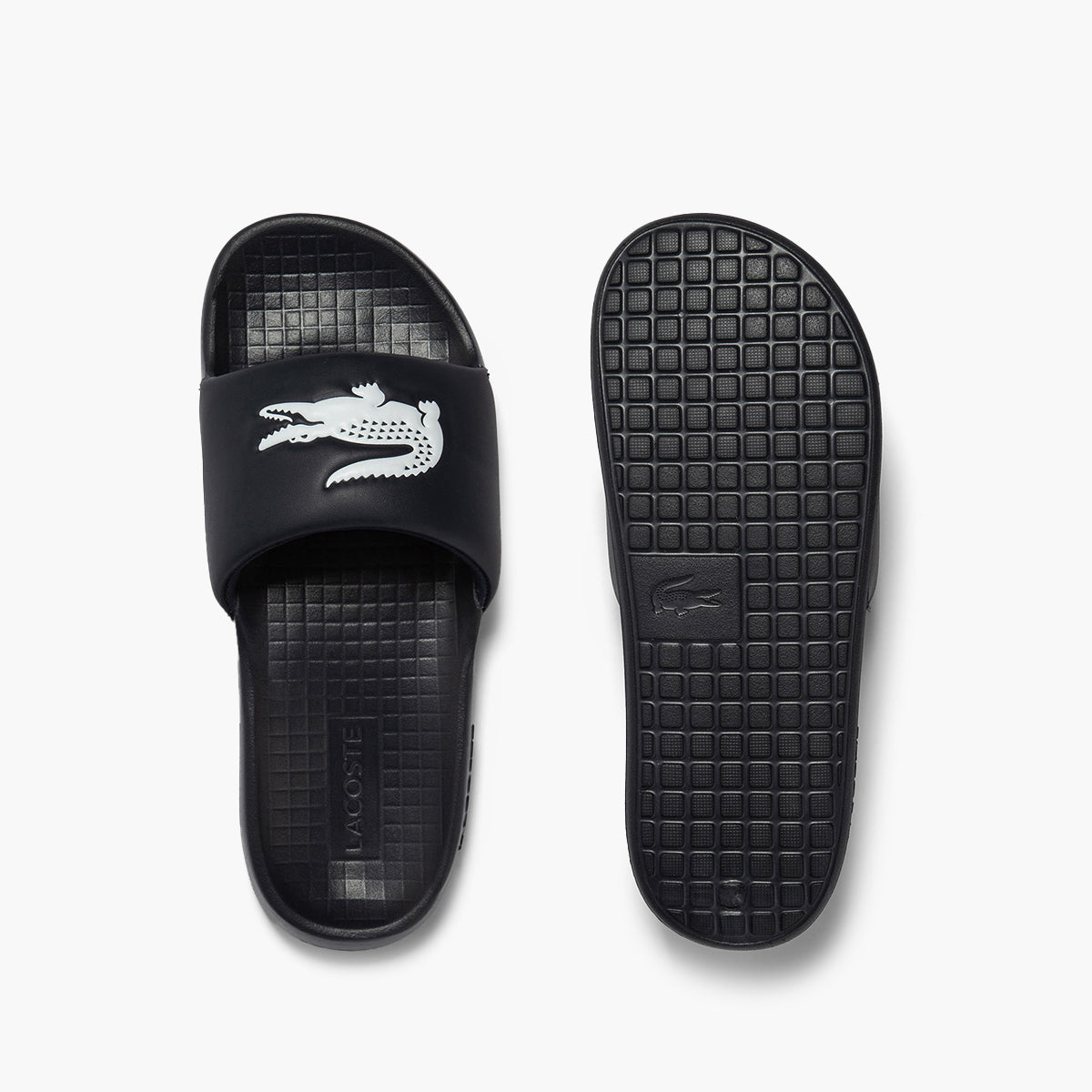Croco 1.0 Synthetic Slides