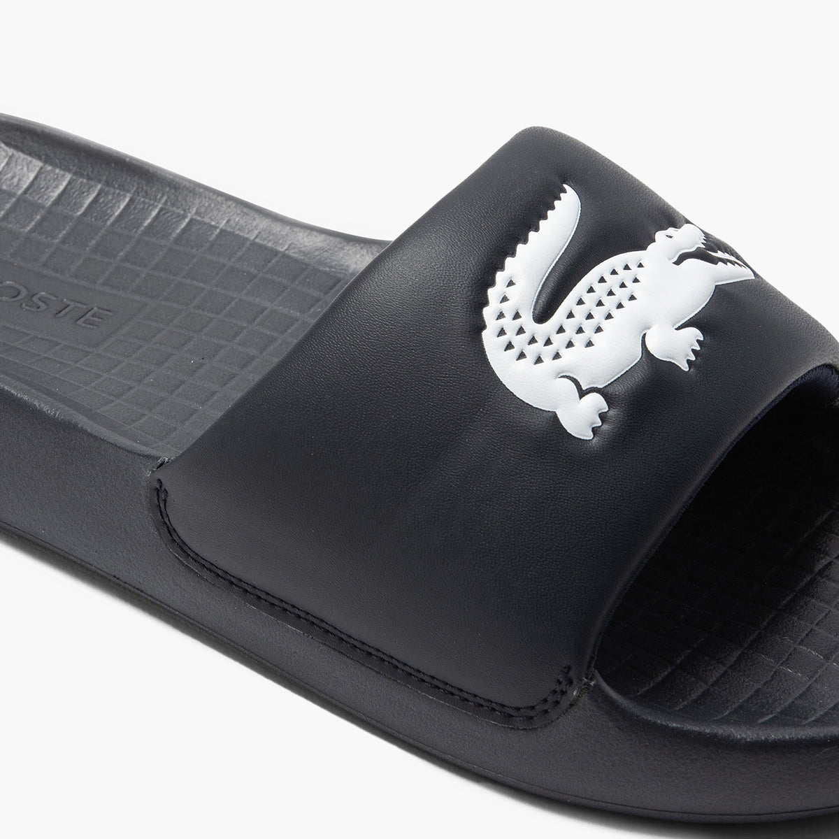 Croco 1.0 Synthetic Slides